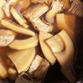 ユミママキッチン's cooksnap of when they made おばあちゃんの筍と蕗と山菜の煮物.