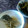 優くんのばあば's cooksnap of when they made 鯛とごぼうと生姜の甘い煮付け.