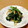 ＊ゆめの＊'s cooksnap of when they made ほうれん草の梅肉和え.
