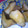 レアレアチーズ's cooksnap of when they made エリンギの照り焼き.