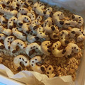 クックE5GLB1☆'s cooksnap of when they made 本物そっくり！幼虫お菓子.