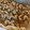 クックE5GLB1☆'s cooksnap of when they made 本物そっくり！幼虫お菓子.