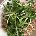 クックBLTENE☆'s cooksnap of when they made かいわれ大根とツナのぱぱっとサラダ.