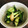kinniko's cooksnap of when they made 即席！きゅうりとミョウガの塩昆布漬け.