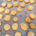 ピロエ's cooksnap of when they made 低糖質低カロリー☆チーズケーキ風クッキー.