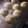 kyochan616's cooksnap of when they made レモンピールと紅茶のマフィン。.