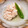 ふくえ☆'s cooksnap of when they made 鯛の子のあっさり煮.