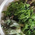 パンコパンダ's cooksnap of when they made 山菜「たらの芽」の下処理～お浸し.