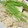 クック7FNN0F☆'s cooksnap of when they made プリンセス鍋であさりと筍の炊き込みごはん.