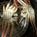 かな☆'s cooksnap of when they made 今が旬のセコ蟹！.