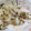 しまちょ★'s cooksnap of when they made 簡単ー紫玉ねぎのおかか和え.