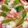 Chang★'s cooksnap of when they made 蒸ししゃぶ ✼ホットプレート✼.