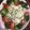 ひまわり６号's cooksnap of when they made ☆きゅうりとツナのサラダ☆.