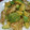 クックVOY1Q3☆'s cooksnap of when they made 絶品♪鶏肉とアボカドのマヨしょうゆ炒め.