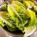 ☆みづは店長☆'s cooksnap of when they made 野菜の洗い方　虫が付いている場合.