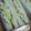 もりのりころ's cooksnap of when they made かんたん卵サンド.