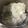 しばころちん's cooksnap of when they made IH用圧力鍋で焦げない炊飯.