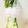 kisr1010's cooksnap of when they made 水菜の一夜漬け.