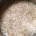 ♡ＲMY♡mom's cooksnap of when they made 紫もち麦(皮付きもち麦)を圧力鍋で炊く.
