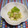 バカリャウ's cooksnap of when they made 筍とウドの木の芽あえ.