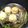 フレンチブルブル's cooksnap of when they made がんもどきの煮物.