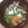 やなぎだまこ's cooksnap of when they made 豚肉たっぷり豚汁〜醤油風味〜.