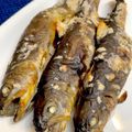 やよい・M's cooksnap of when they made イワナの塩焼き.