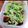 ＴＯＭＯＷＡＴ's cooksnap of when they made 【三つ葉・焼き椎茸の柚子ポン和え】簡単♪.