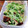 ＴＯＭＯＷＡＴ's cooksnap of when they made 【三つ葉・焼き椎茸の柚子ポン和え】簡単♪.