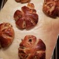 こしきめぐ's cooksnap of when they made くるみパン（てごね）自分用.