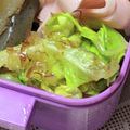 ゆけり３兄弟's cooksnap of when they made キャベツのおかか和え 副菜やお弁当に.