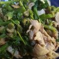あるがまーま's cooksnap of when they made 春の味覚ハルジオンと豚肉の炒め物.