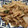 クックM6DK2O☆'s cooksnap of when they made 豆苗とたまねぎの炒め.