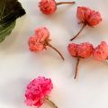 ごごchan☆'s cooksnap of when they made ❀春の香りฺ❀ふんわりฺ♡さくらパウダー.