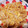 harutaaaam's cooksnap of when they made もやしと卵のカレー炒め.