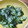ｊ爺ｊ's cooksnap of when they made ★生わかめときゅうりの簡単酢の物.