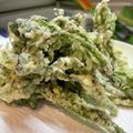 toshio39's cooksnap of when they made 春の楽しみ☆ウド使い切り☆葉の天ぷら.