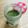 ごごchan☆'s cooksnap of when they made 桜の葉の塩漬けで✿自家製 桜葉パウダー.