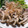 ponsyuke♪'s cooksnap of when they made にらとしめじのおひたし.