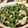 低カロ探検隊's cooksnap of when they made ダシダで無限ピーマン.