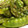 クックUSH76O☆'s cooksnap of when they made さやえんどうのマヨポン炒め.
