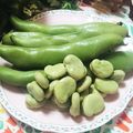 虹色♪︎ちゅーりっぷ's cooksnap of when they made そらまめの美味しい茹で方（さやごと）.