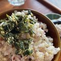 Tammychan's cooksnap of when they made ふきの葉味噌.