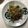 クック78R779☆'s cooksnap of when they made 豆苗とにんじんのナムル.
