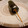 こむぎこはるばる's cooksnap of when they made 冷凍焼鳥＋マヨ＋紫蘇　のり巻き　簡単.
