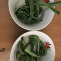 ﾌﾞﾚﾝﾀﾞ's cooksnap of when they made こごみのお浸し.