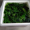 ともきゃんママ's cooksnap of when they made ほうれん草はレンチンで♪.