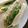 クック79AGWO☆'s cooksnap of when they made ツナフィリング.