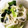 ˚✧₊⁎ゆう˚✧₊⁎'s cooksnap of when they made 長ネギのおつまみナムル.