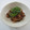 えりべえ's cooksnap of when they made いかげそときのこのこっくりレモン醤油炒め.